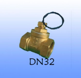 活塞式流量開關_可調(diào)式水流開關DN32