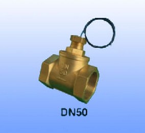水平安裝流量開關_水流開關DN50